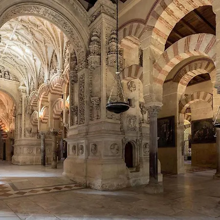 Suite, Entrada Autonoma Y Bano Privado Апартаменты